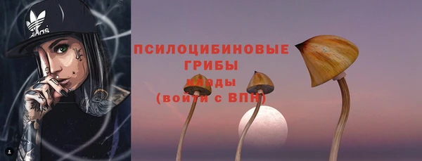 шишки Бутурлиновка