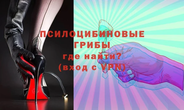 ГАЛЛЮЦИНОГЕННЫЕ ГРИБЫ Краснослободск