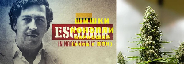ГАЛЛЮЦИНОГЕННЫЕ ГРИБЫ Краснослободск