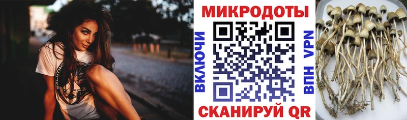 Купить где  Омутнинск  Галлюциногенные грибы MAGIC MUSHROOMS 